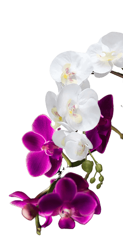 landing-flower3