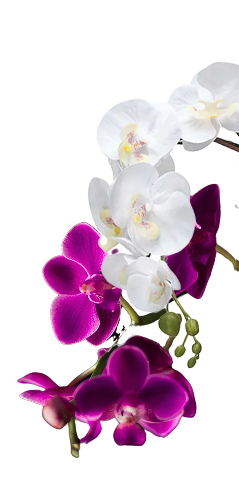 landing-flower3