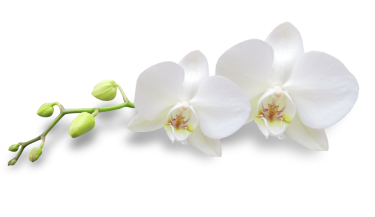 flower-decorator