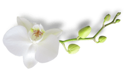 flower-decorator